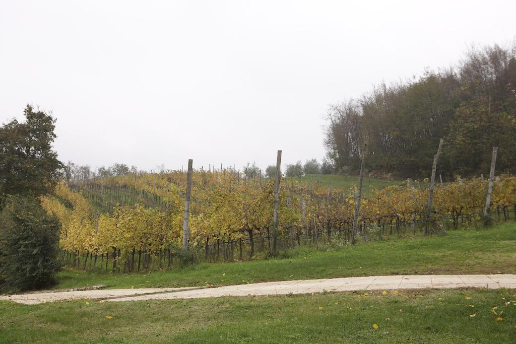 Agriturismo Marani Arcugnano Екстер'єр фото